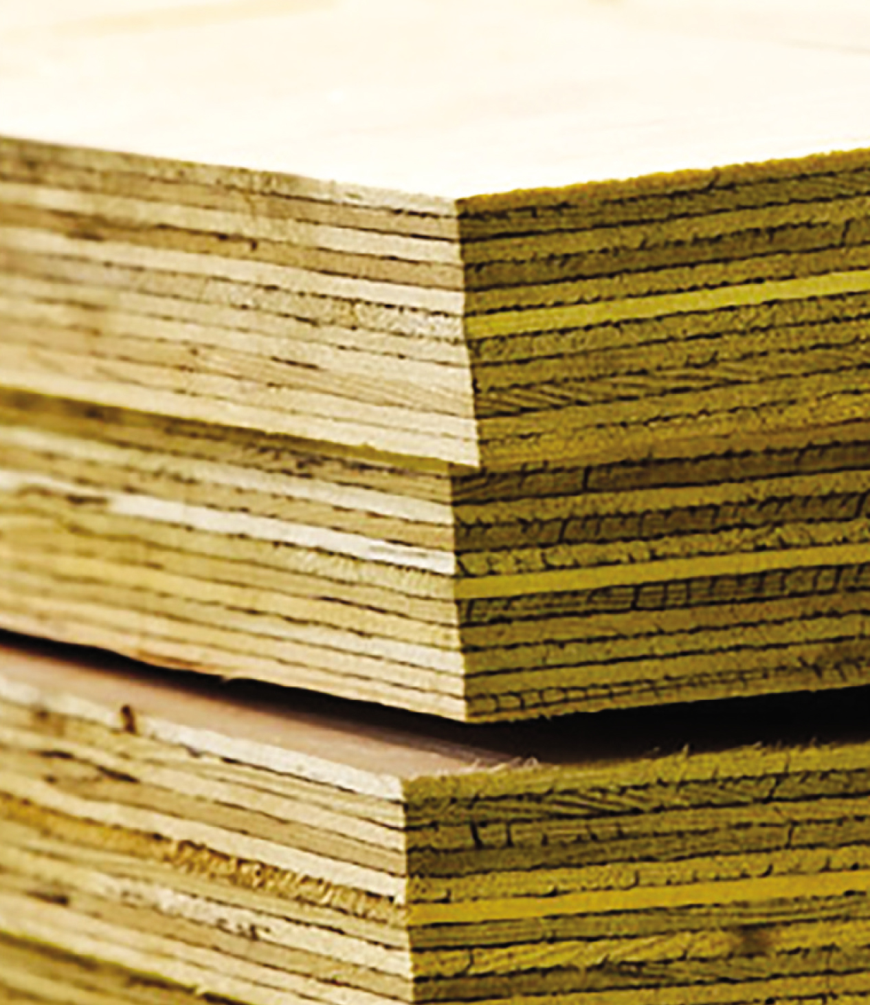 Laminated Veneer Lumber | Pallet Manufacturer Johor Bahru Malaysia